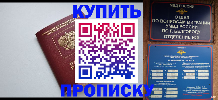 прописка регистрация в Павловском Посаде